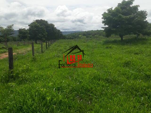 Fazenda para Venda em Monjolos - 2